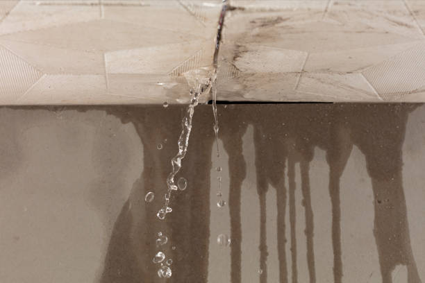 Professional Structural Drying technician working in Helotes, TX